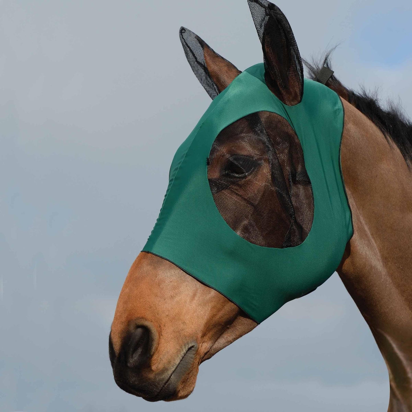 WeatherBeeta Stretch Bug Eye Saver with Ears