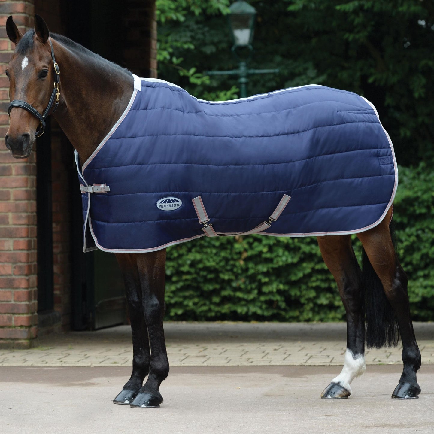 Weatherbeeta Comfitec 210D Channel Quilt Standard Neck Medium