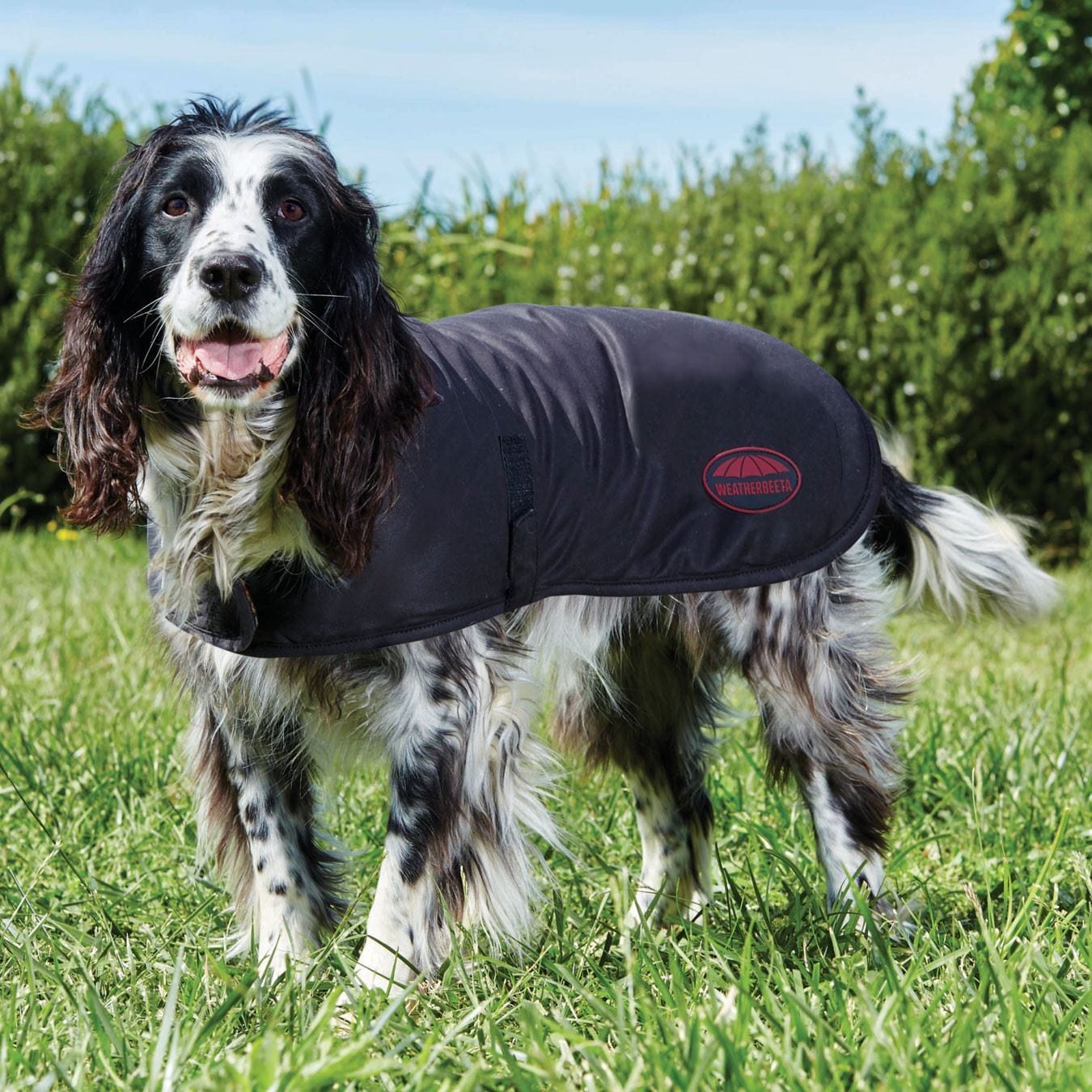 Weatherbeeta Waxed Dog Coat