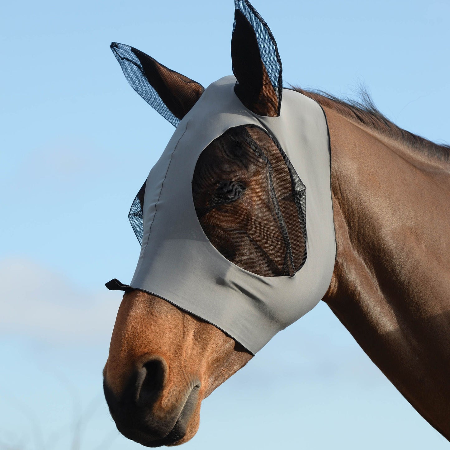 WeatherBeeta Stretch Bug Eye Saver with Ears