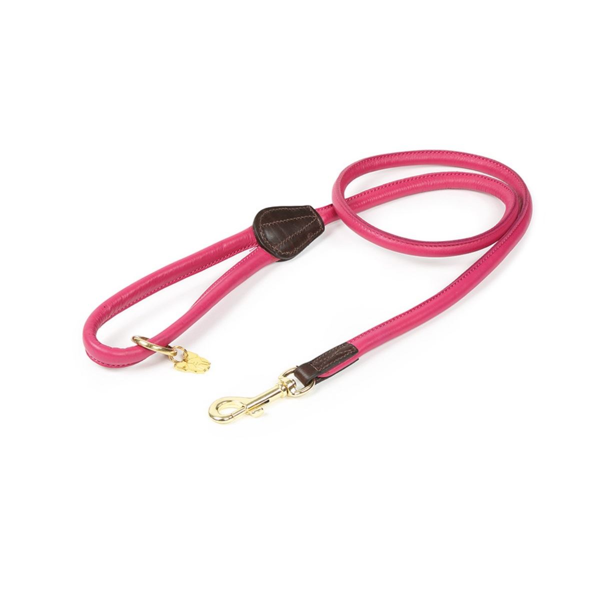 Shires Digby & Fox Rolled Leather Dog Lead