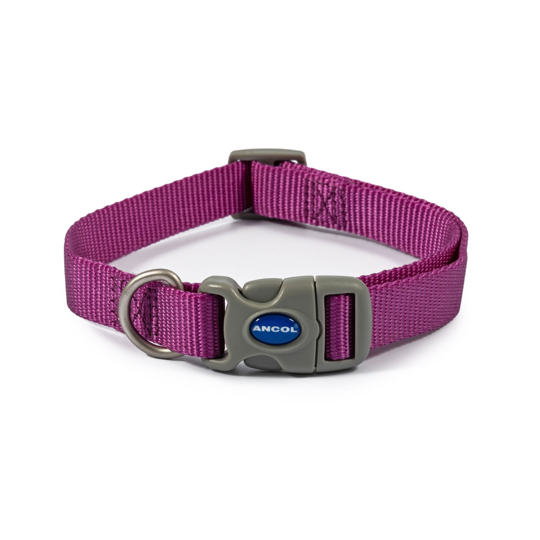 Ancol Adjustable Viva Collar