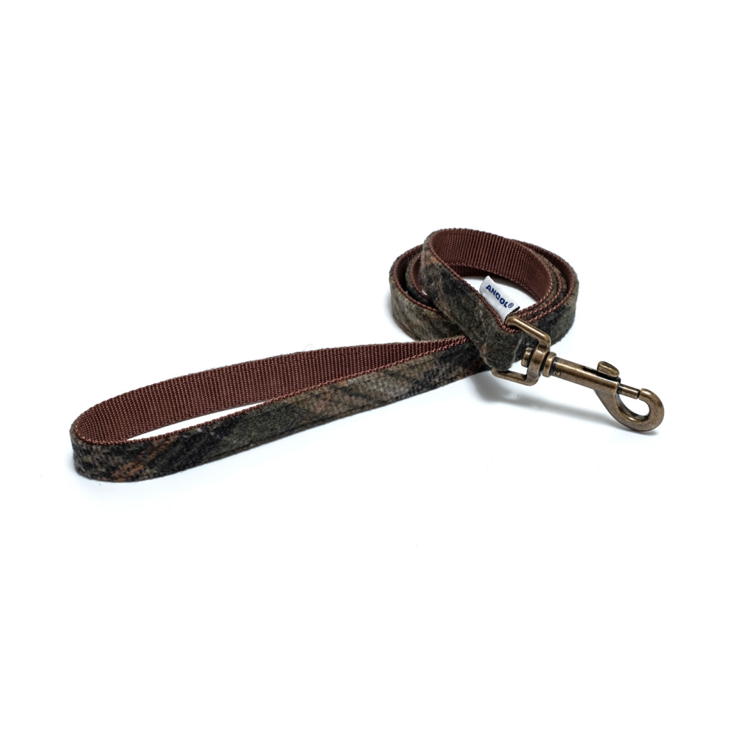 Ancol Lead