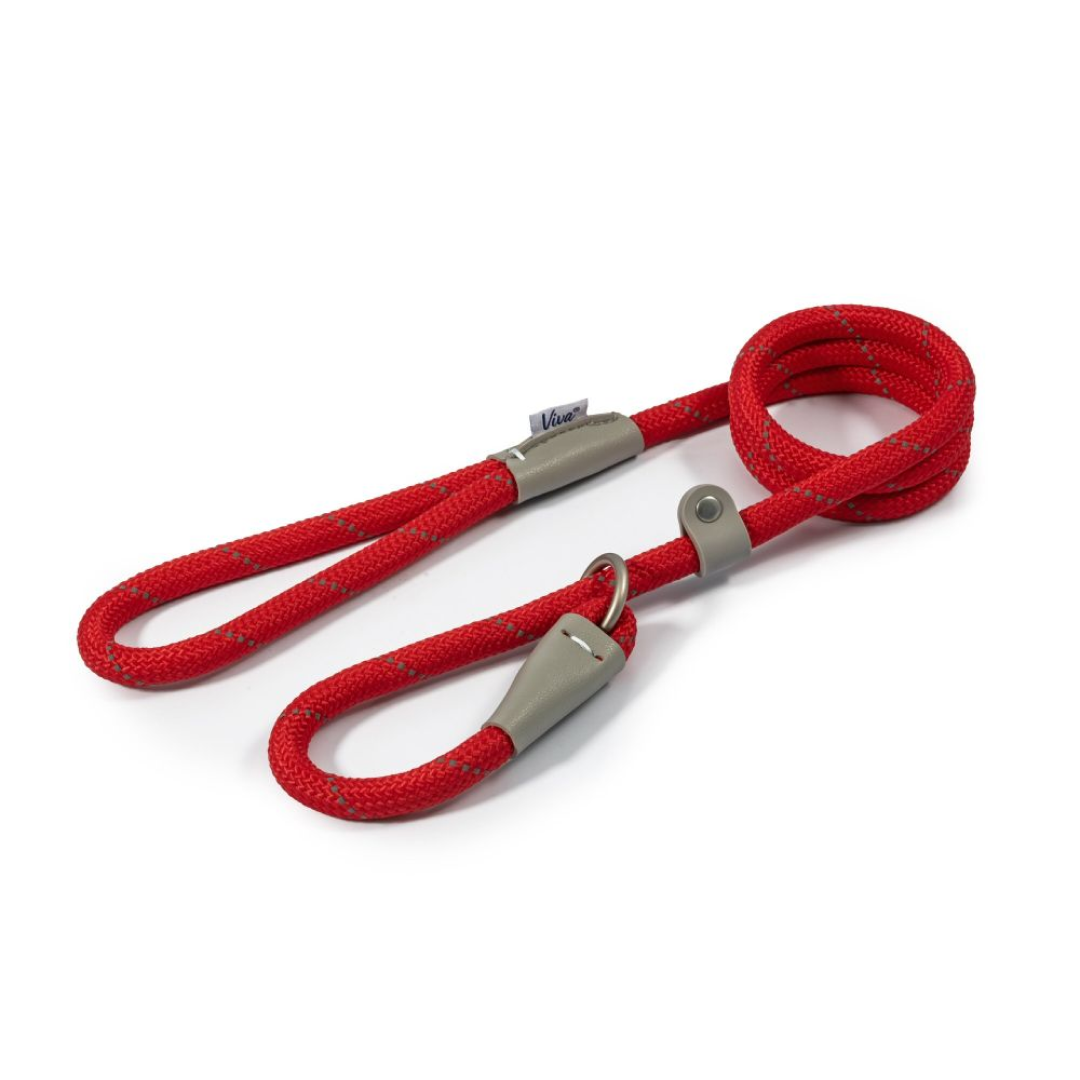 Ancol Viva Reflective Rope Slip