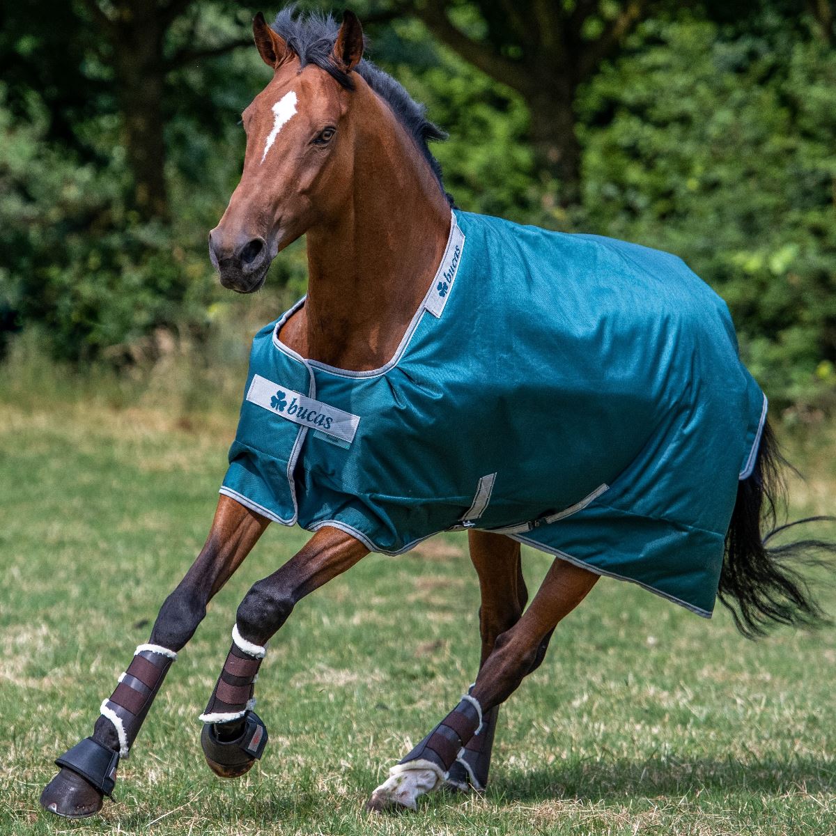 Bucas Atlantic 200g Turnout Rug