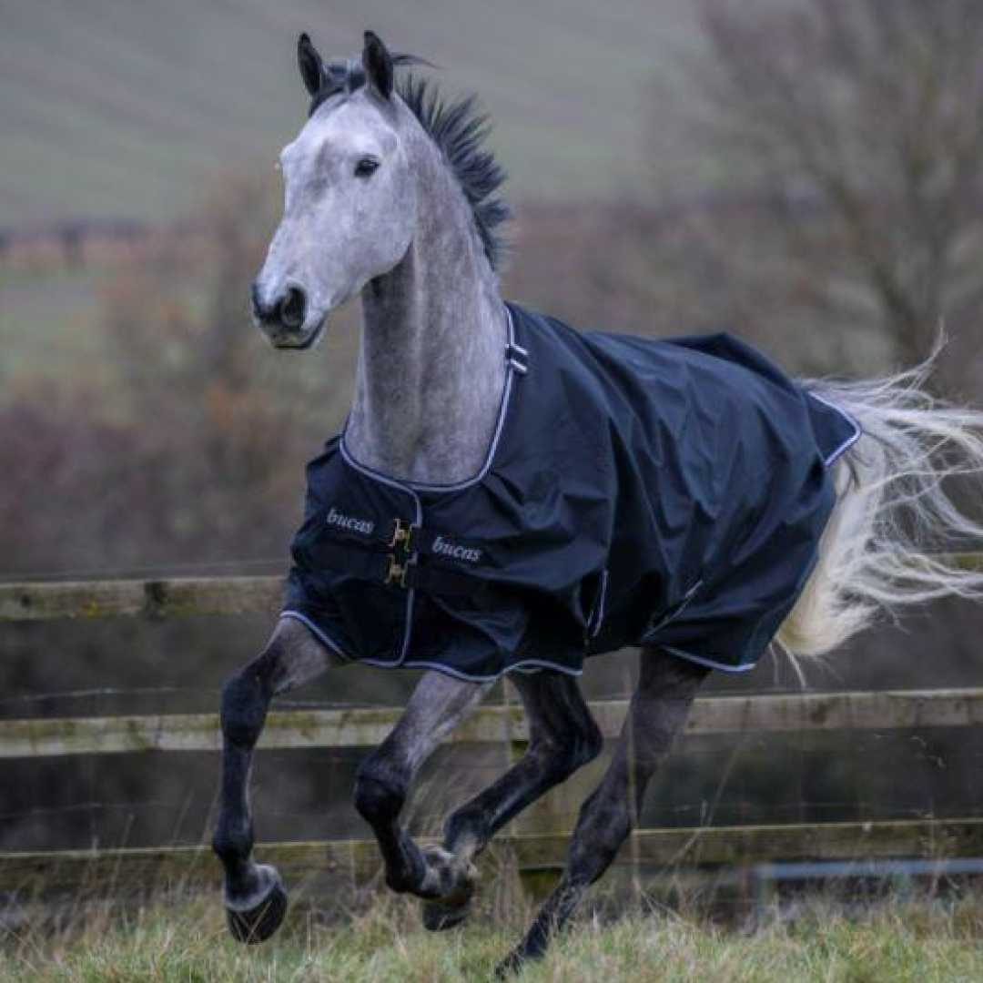 Bucas Trot Turnout 50g Rug