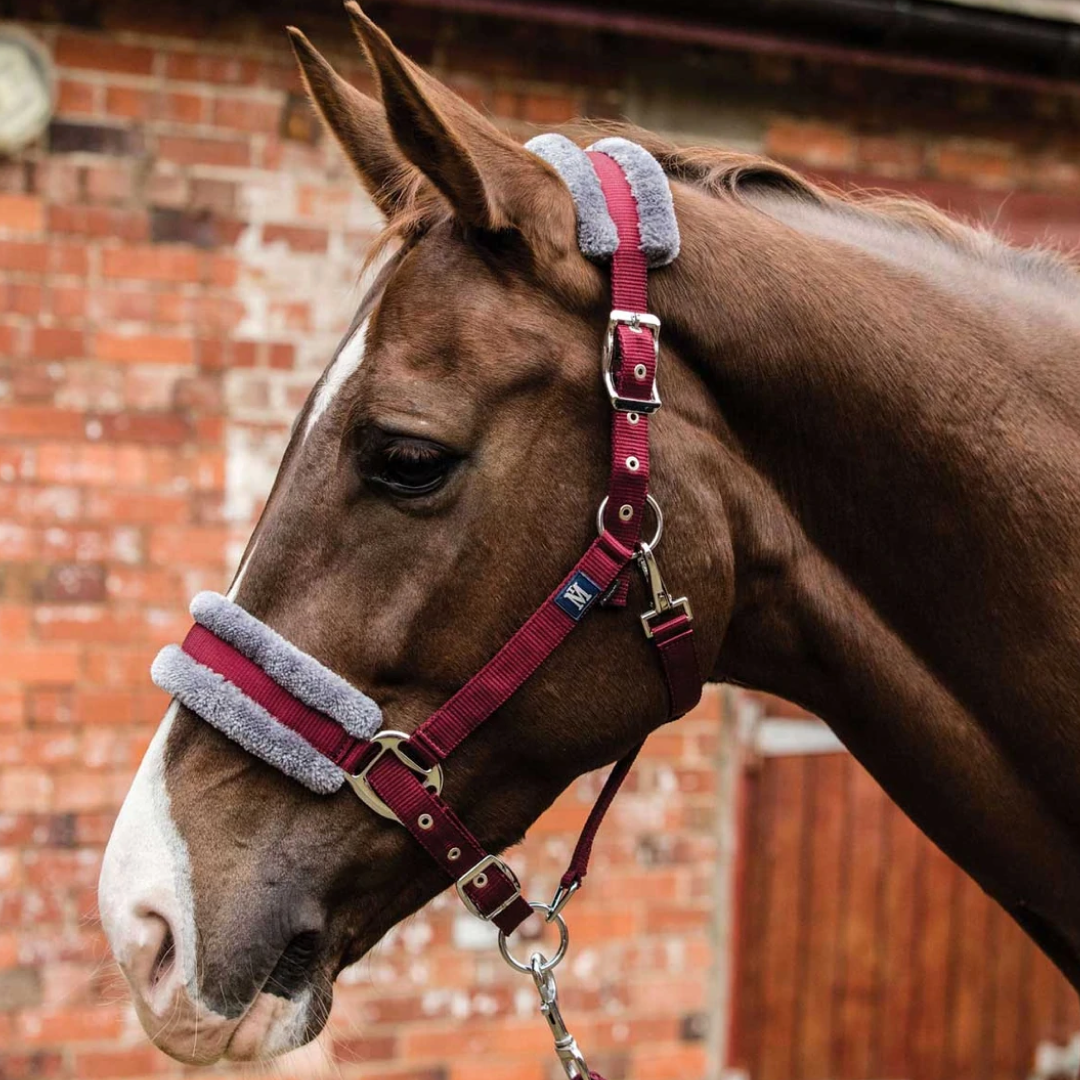 Mark Todd Fleece Lined Headcollar with Leadrope