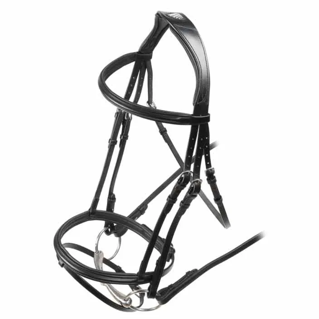 Shires Velociti Rapida Padded Raised Flash Bridle