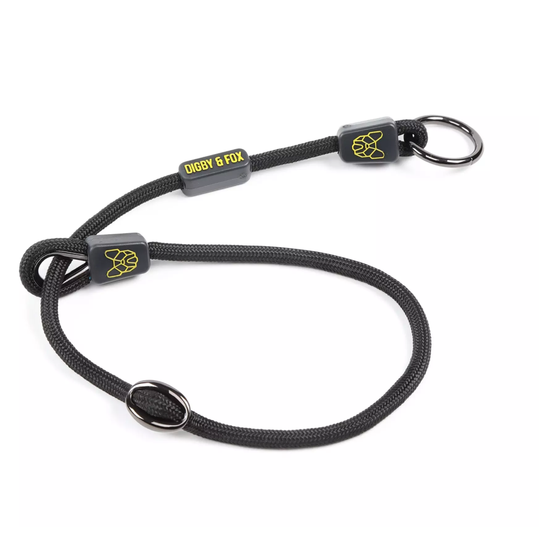 Digby & Fox Pro Slip Dog Collar