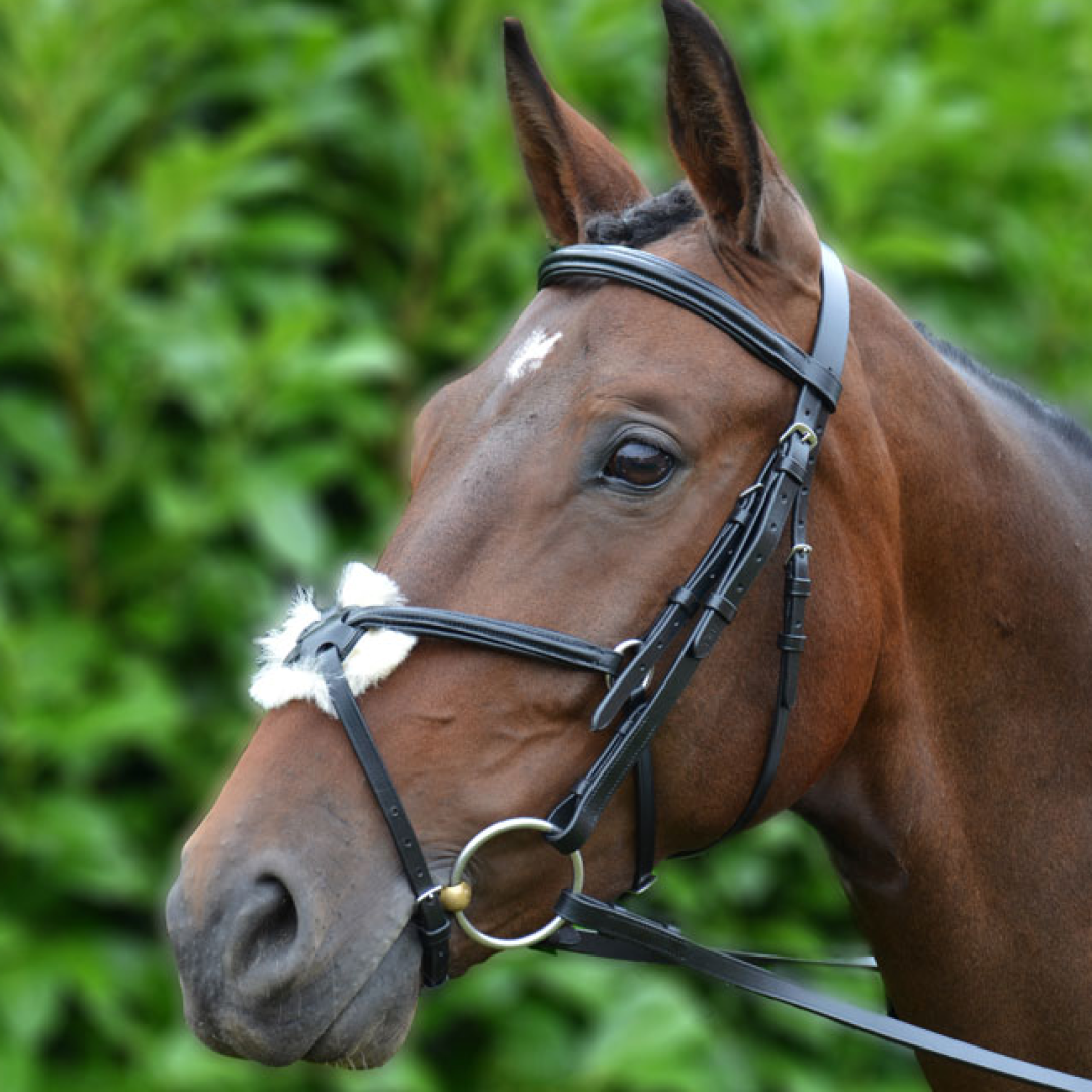 Hy Mexican Bridle with Rubber Grip Reins
