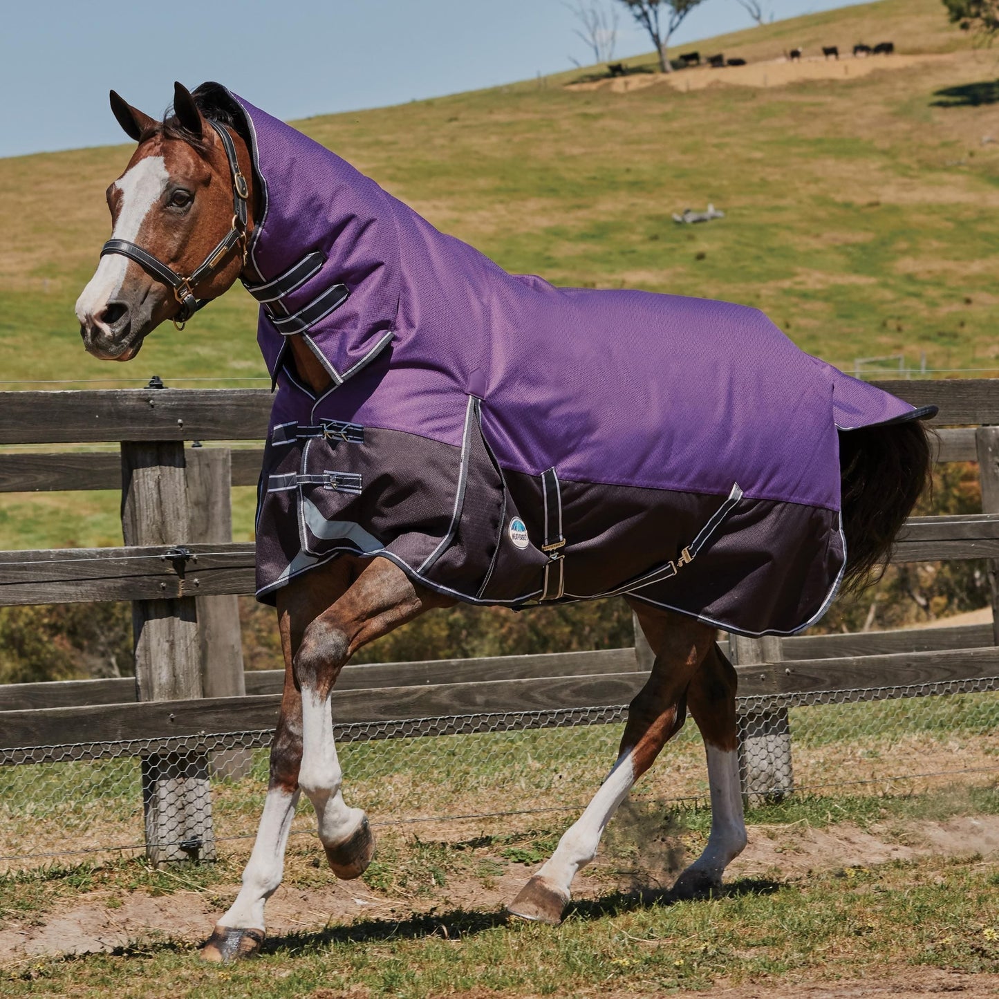 WeatherBeeta ComFiTec Plus Dynamic Combo Neck Lite Turnout Rug