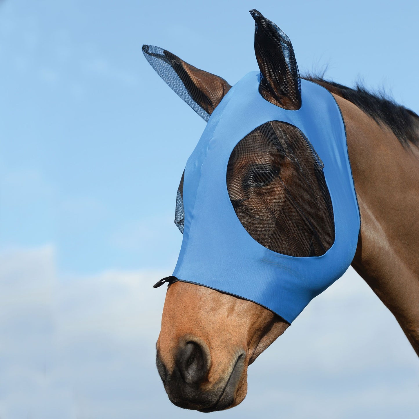 WeatherBeeta Stretch Bug Eye Saver with Ears