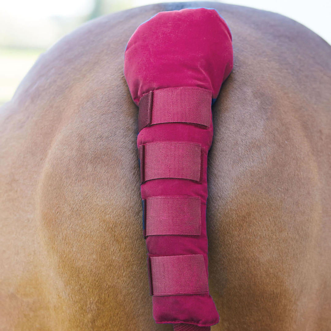 Bitz Padded Tail Guard with Velcro