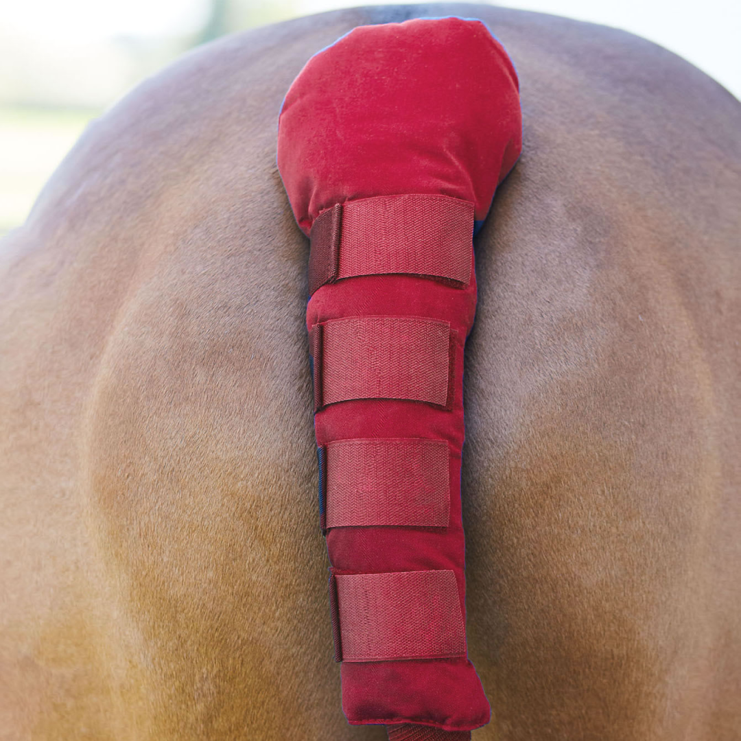 Bitz Padded Tail Guard with Velcro