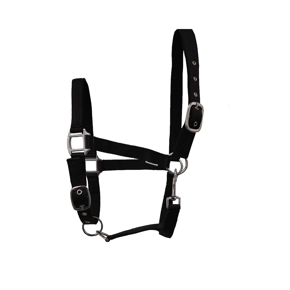 GS Equestrian Economy Head Collar