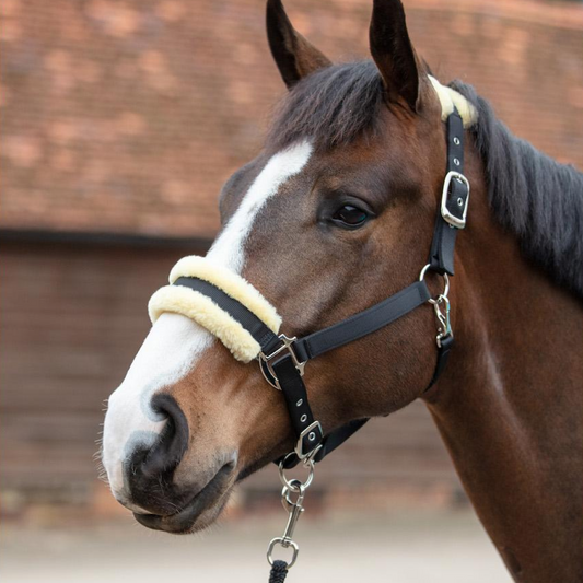 Mark Todd Fleece Lined Headcollar with Leadrope