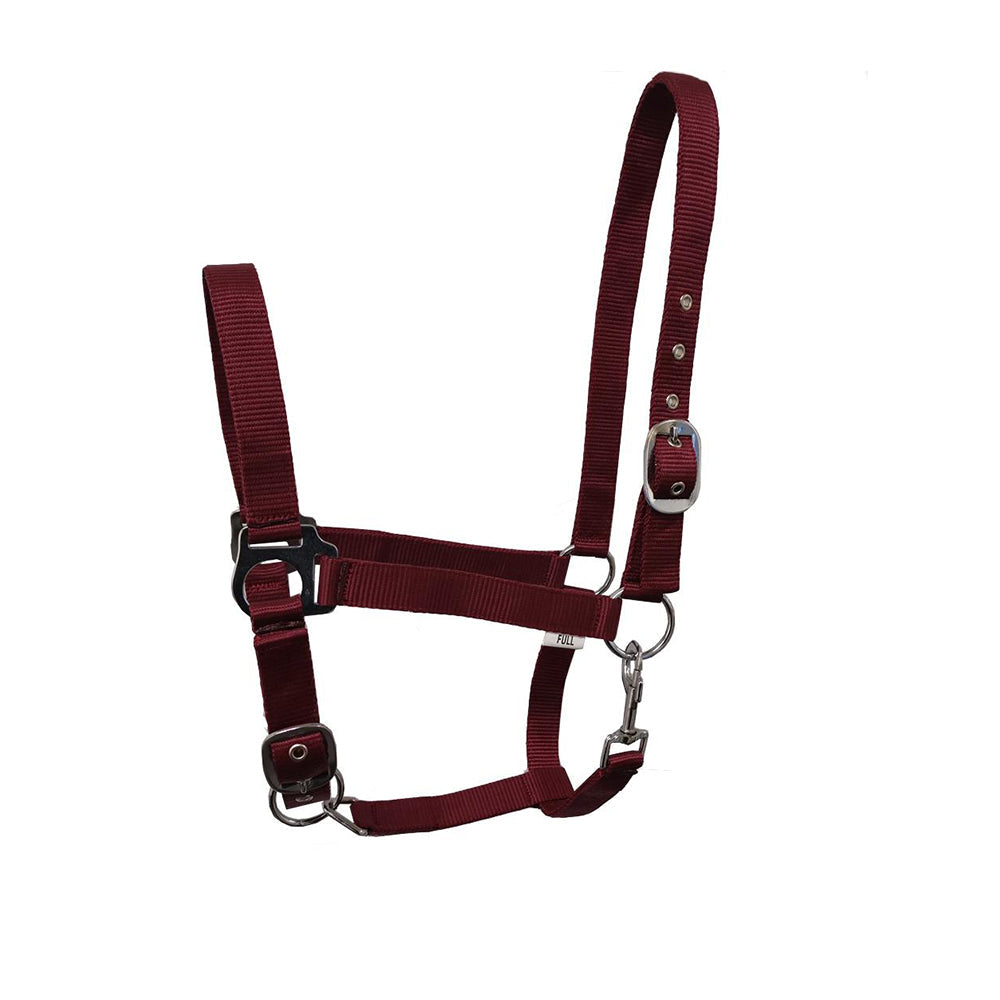 GS Equestrian Economy Head Collar
