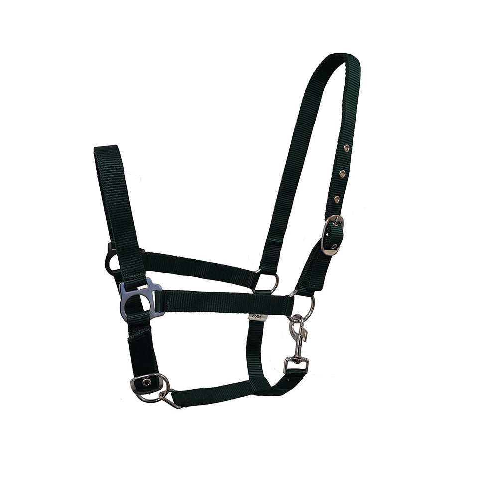 GS Equestrian Economy Head Collar