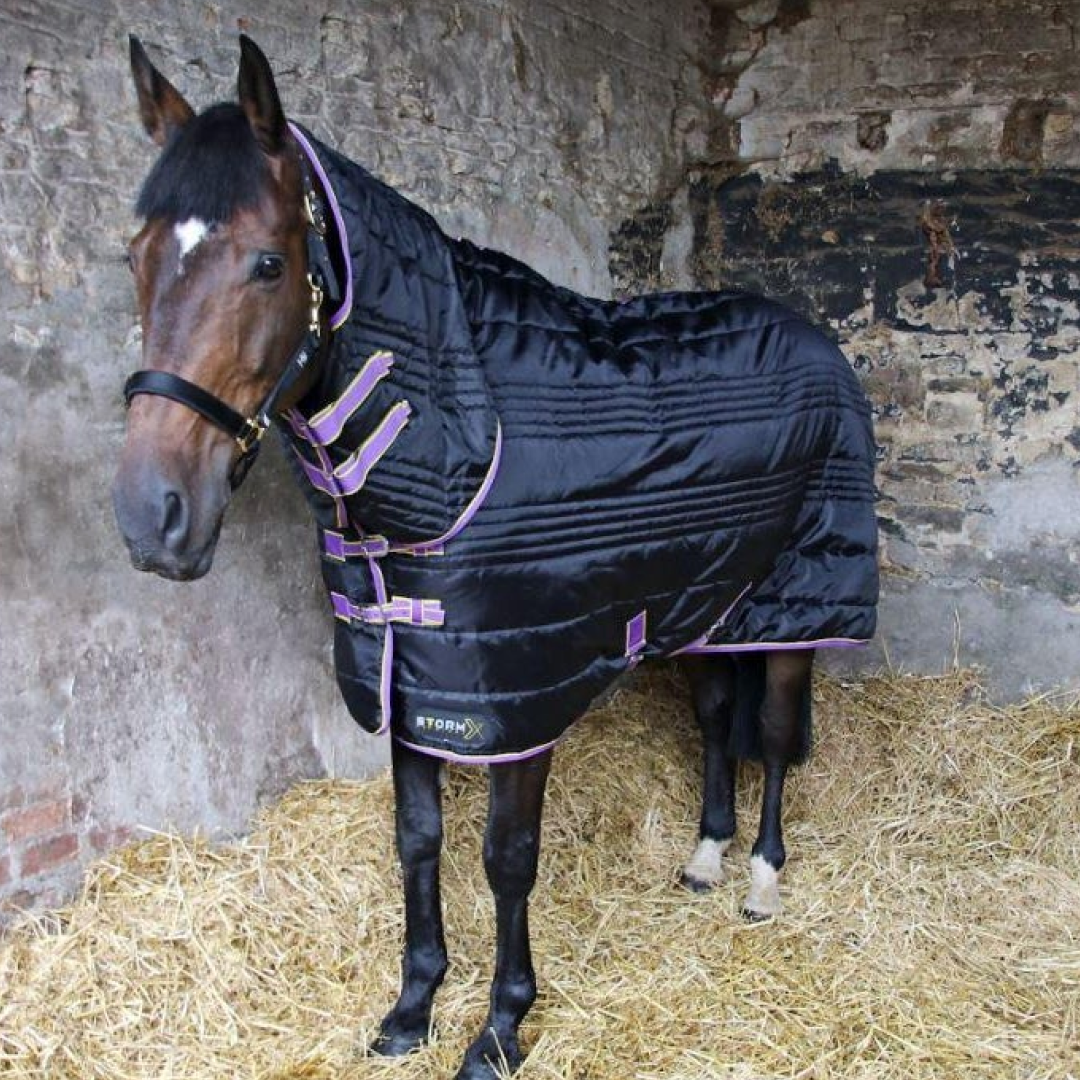StormX Original 200g Combi Stable Rug