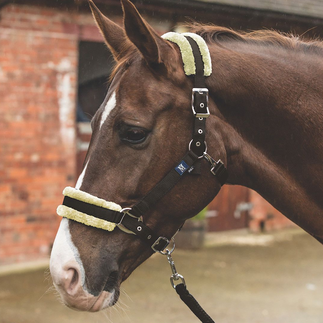 Mark Todd Fleece Lined Headcollar with Leadrope
