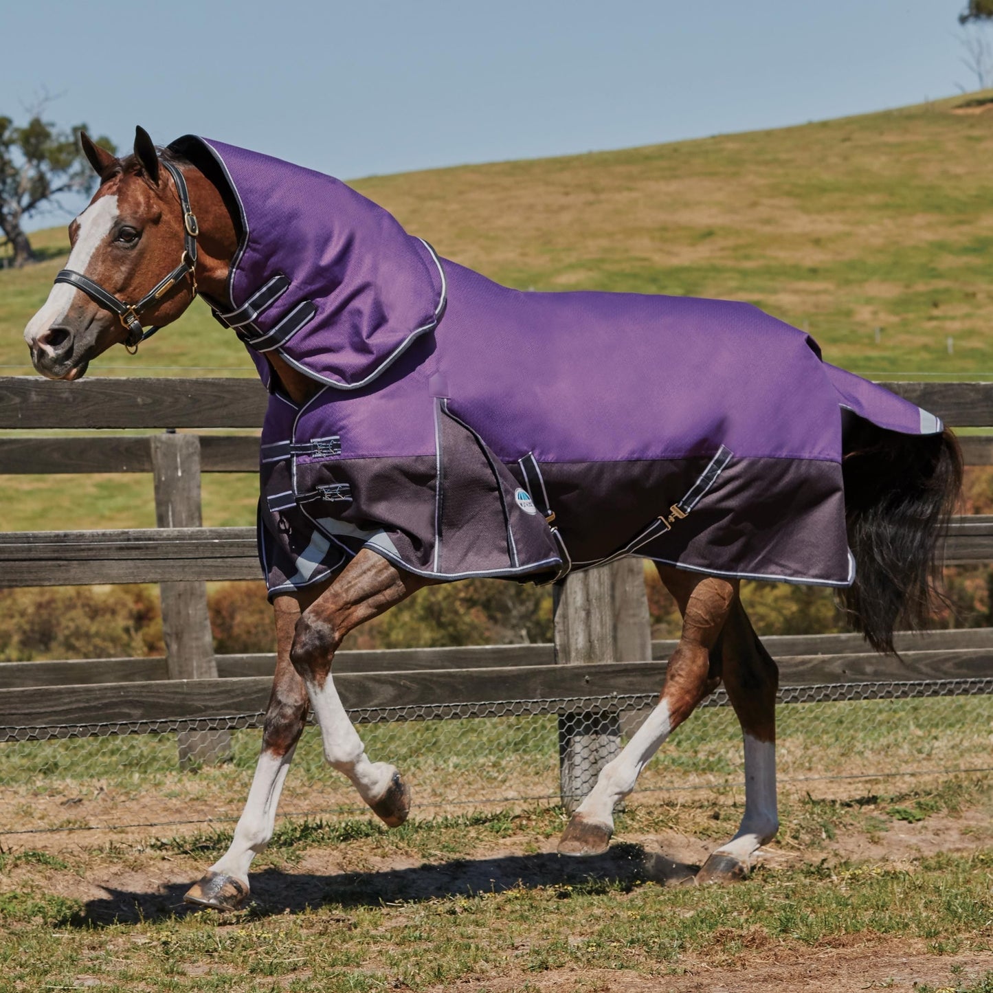 Weatherbeeta Comfitec Plus Dynamic Detach-A-Neck Medium/Lite