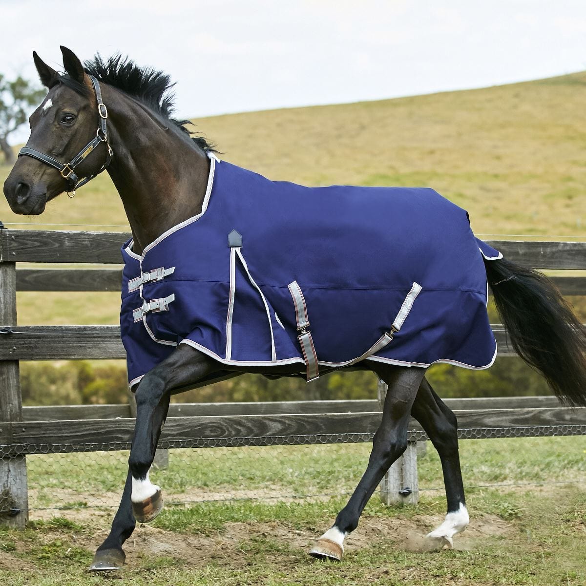 Weatherbeeta ComFiTec Essential Standard Neck Medium Turnout