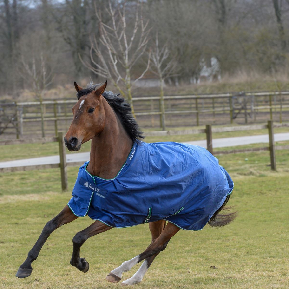 Bucas Smartex Extra 300g Turnout Rug