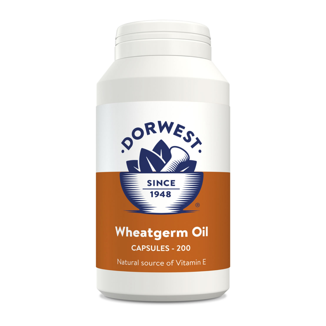 Dorwest Herbs Wheatgerm Oil for Dogs/Cats