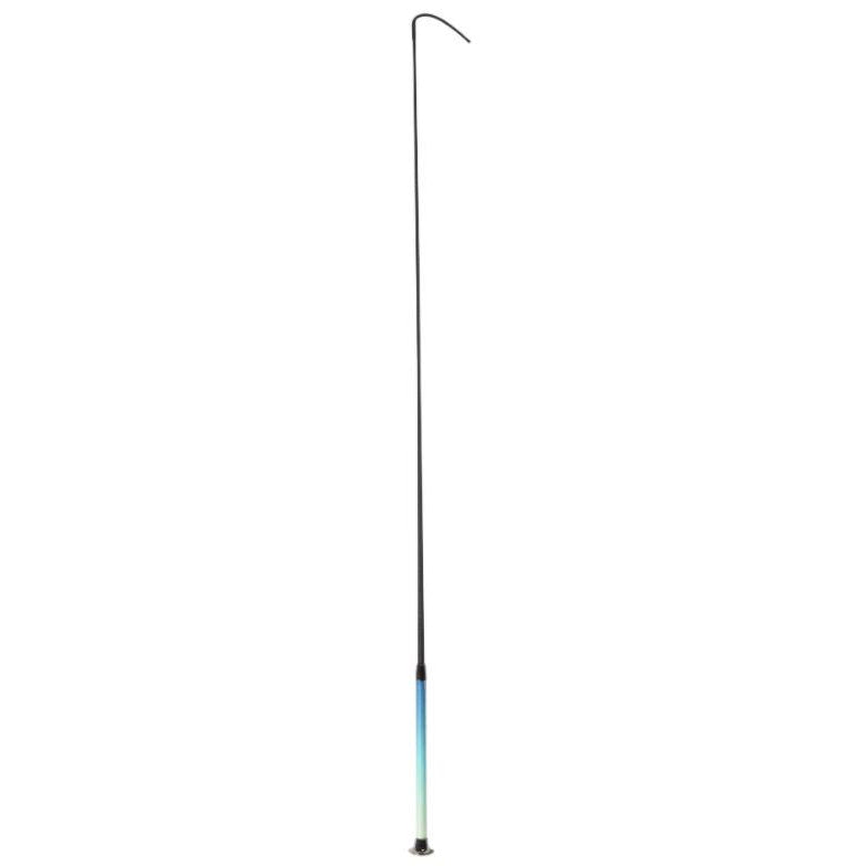 Dublin Ombre Dressage Whip