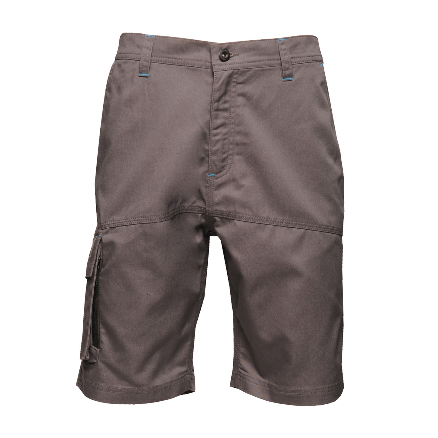 Regatta Professional Heroic Cargo Shorts