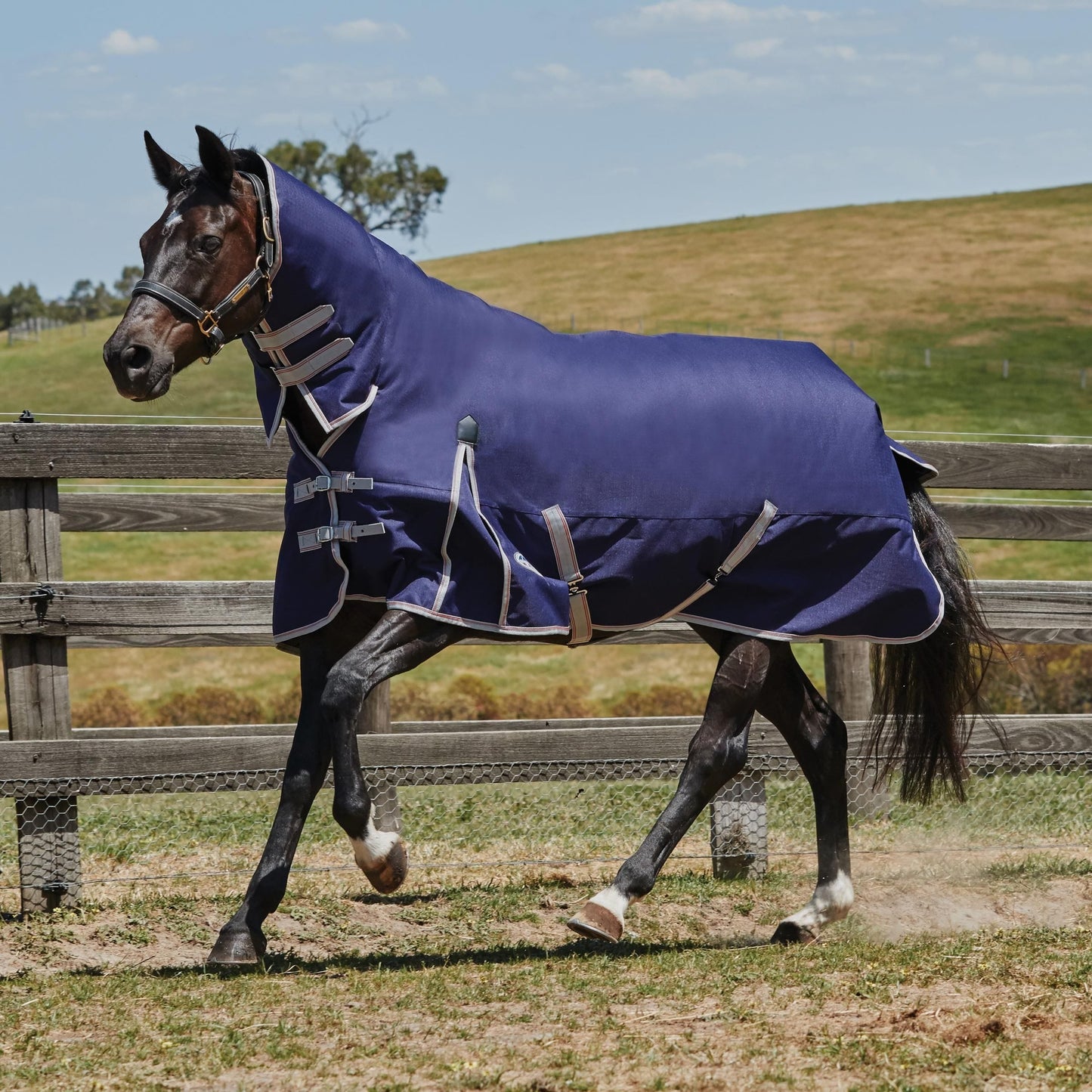WeatherBeeta ComFiTec Essential Combo Neck Lite Turnout Rug