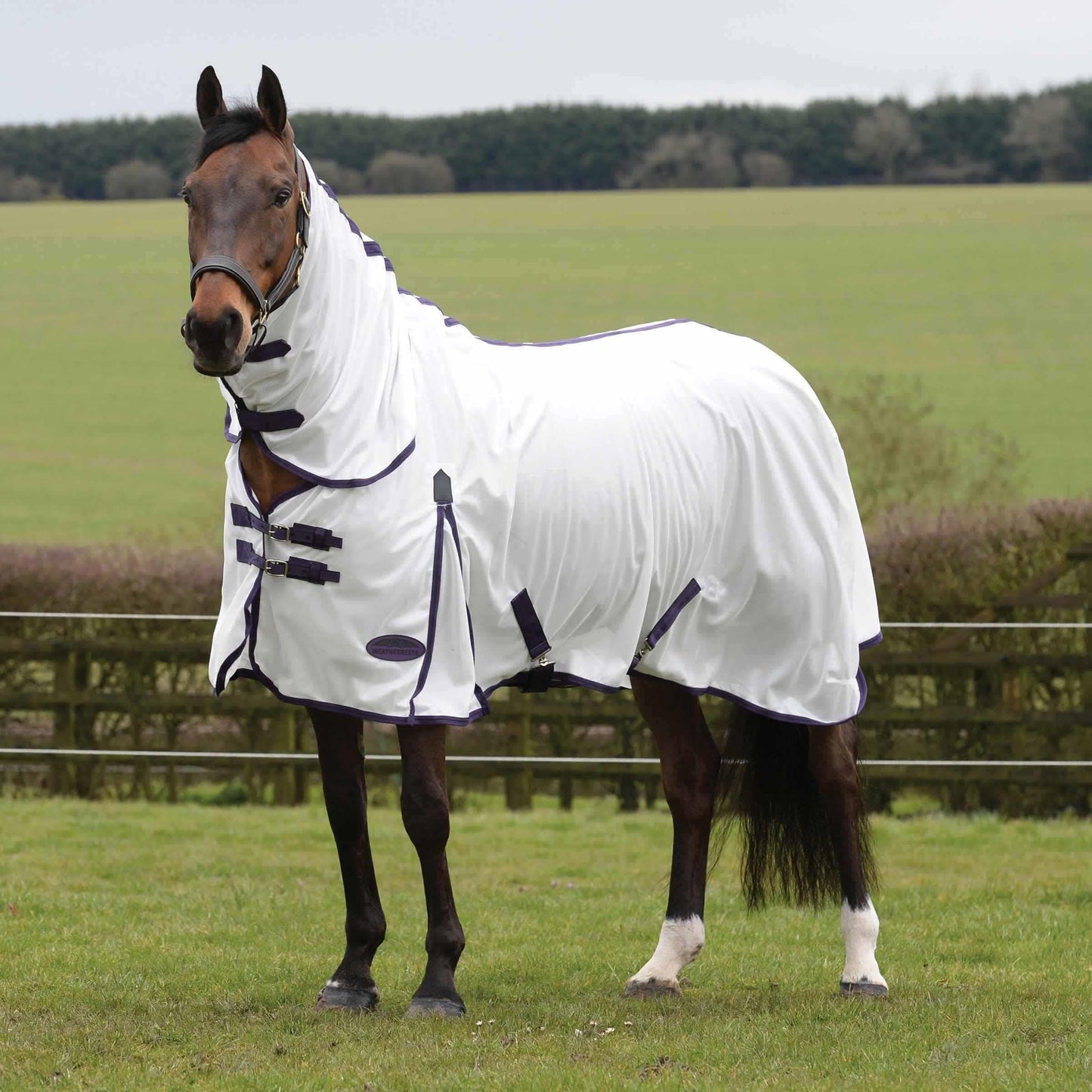 WeatherBeeta ComFiTec Essential Mesh II Combo Neck Fly Rug