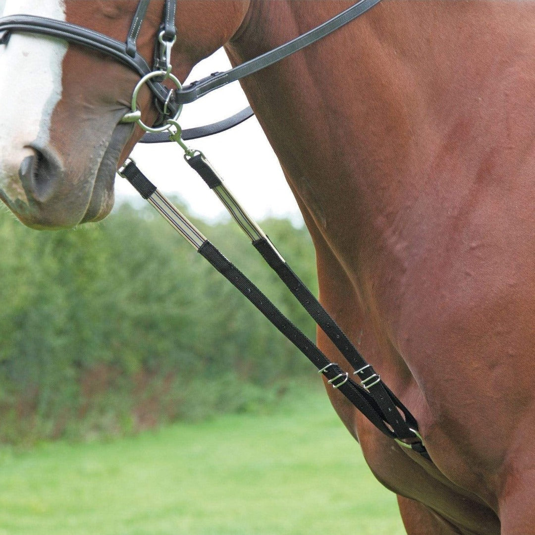 Shires The Original Harbridge Training Aid