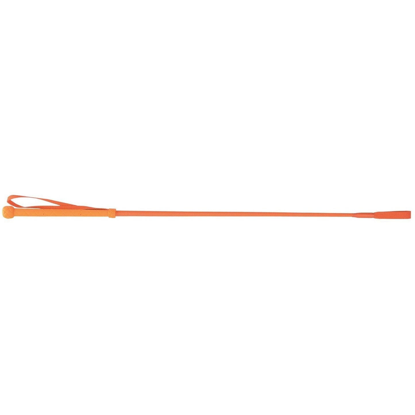 HySCHOOL Bright Riding Whip 24"