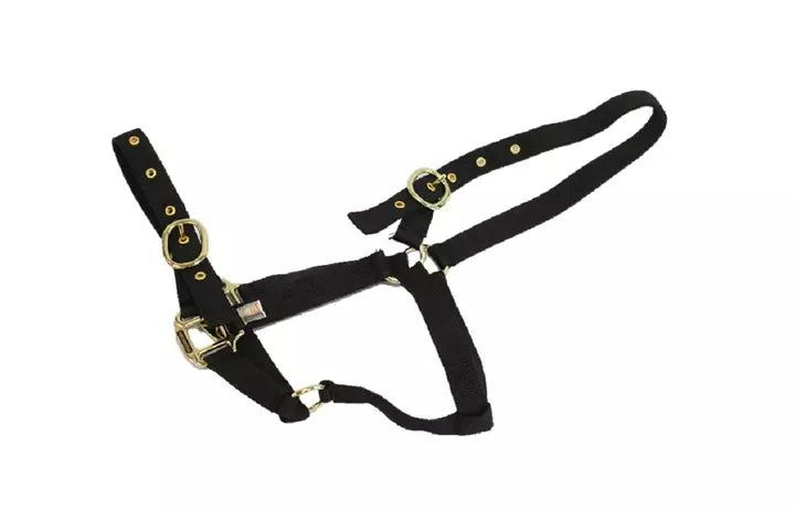 Mackey Equisential Nylon Headcollar