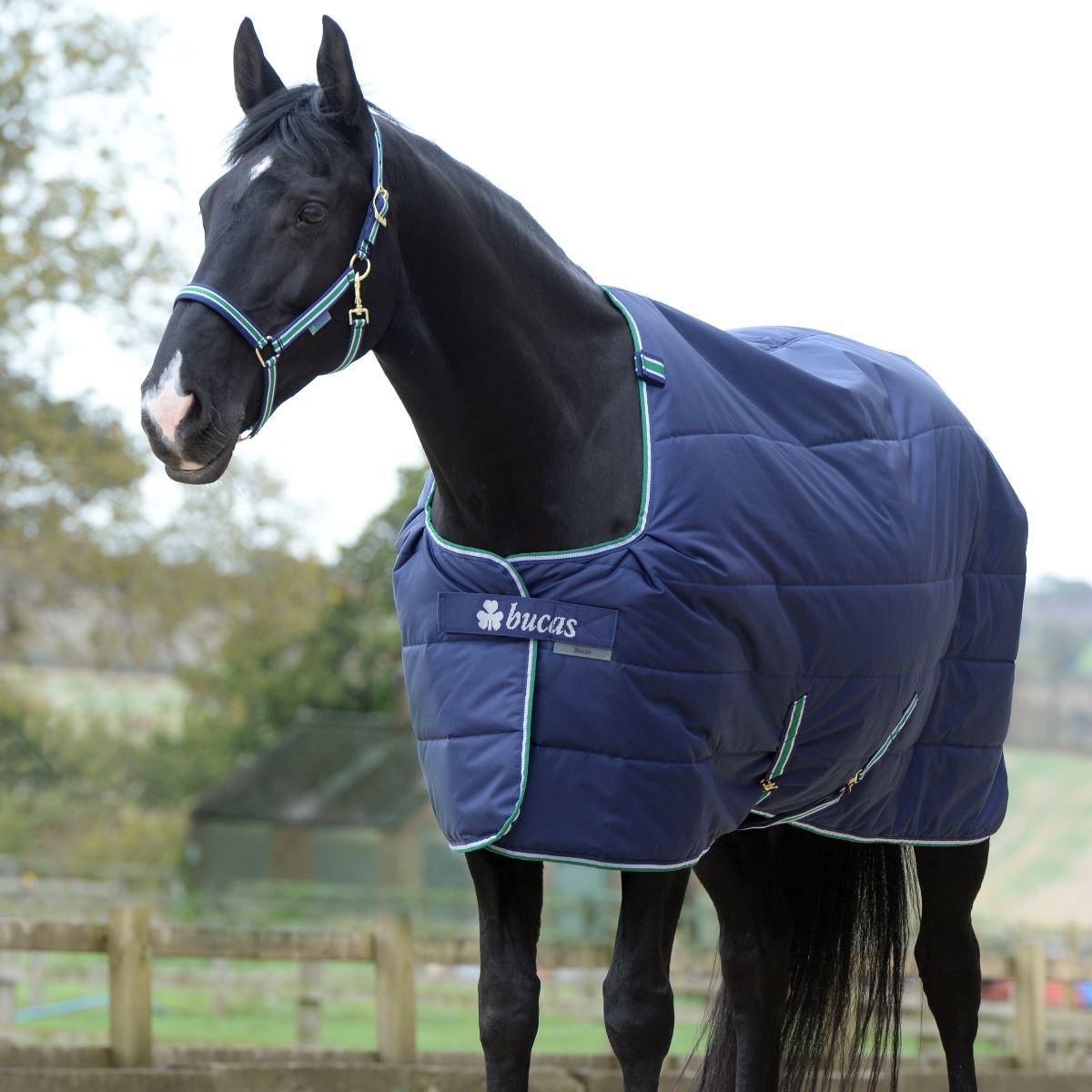 Bucas Quilt 300g SD Stable Rug