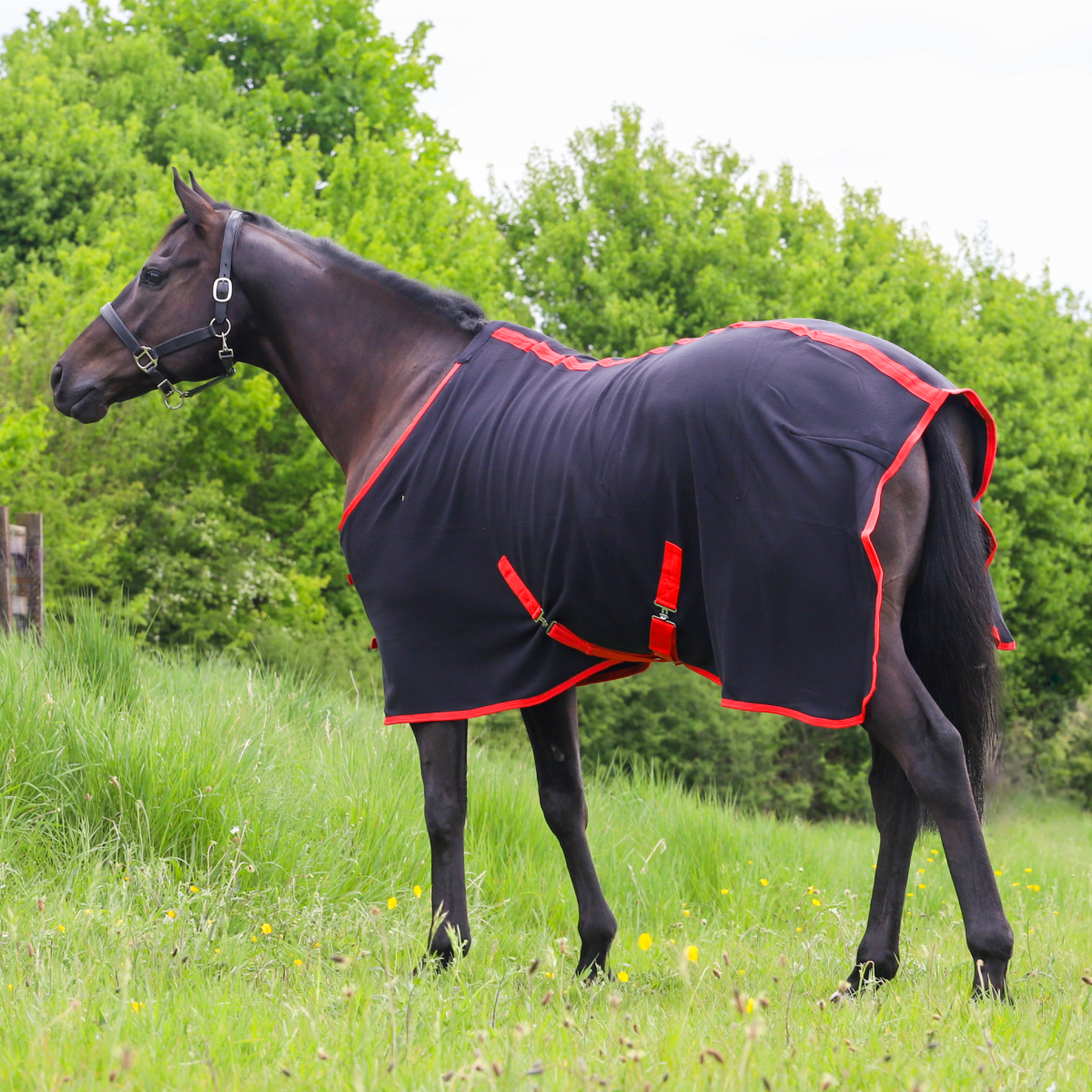GS Equestrian Polar Fleece Rug