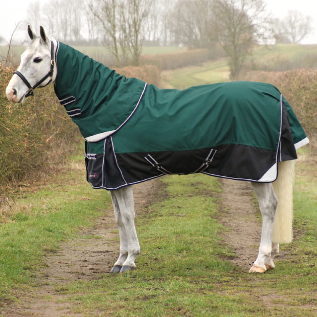 DefenceX System 100g Turnout Rug with Detachable Neck Cover