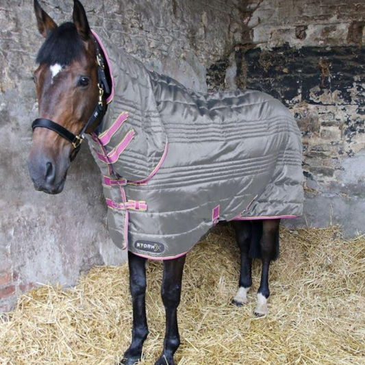 StormX Original 300g Combo Stable Rug