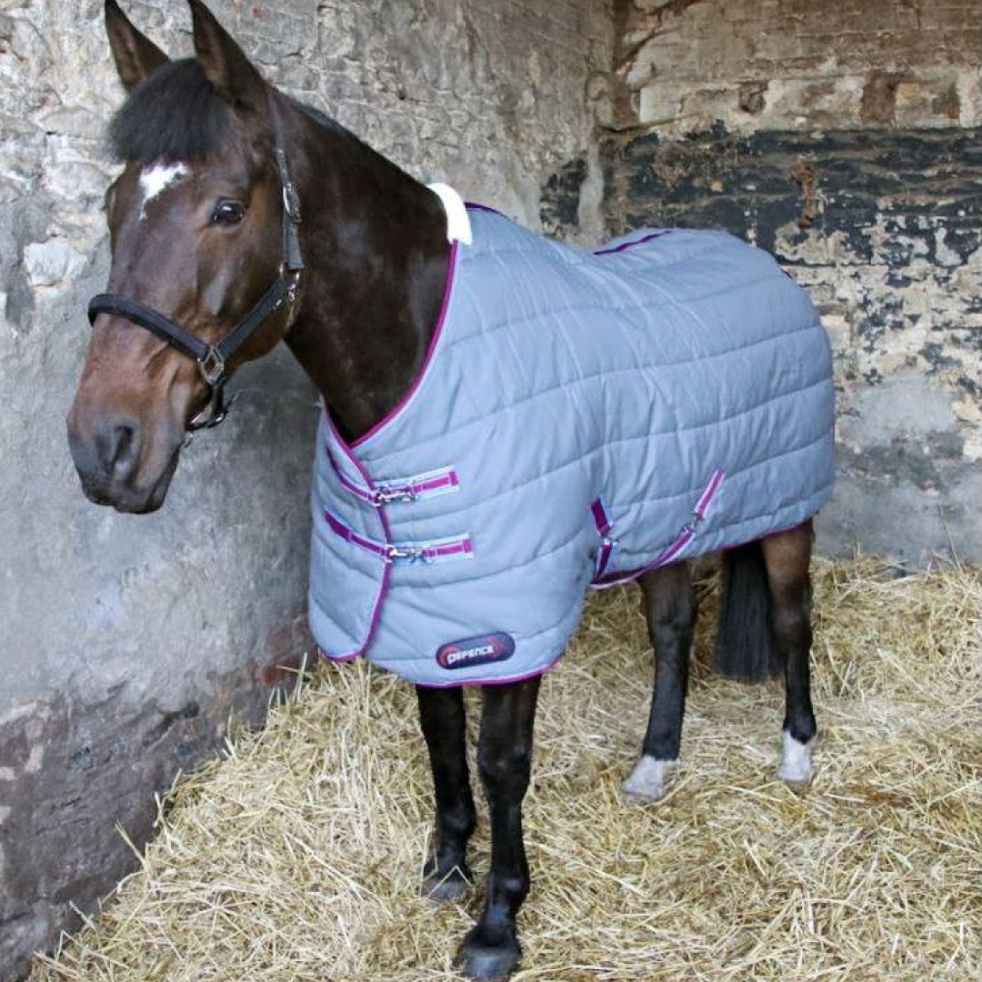 DefenceX System 300g Stable Rug