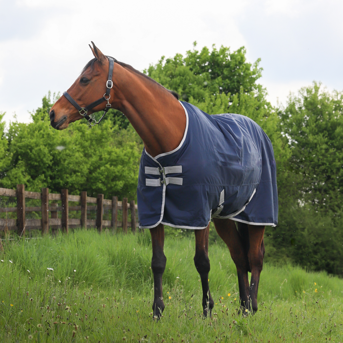 GS Equestrian 600D Waterproof Turnout Rug 100g