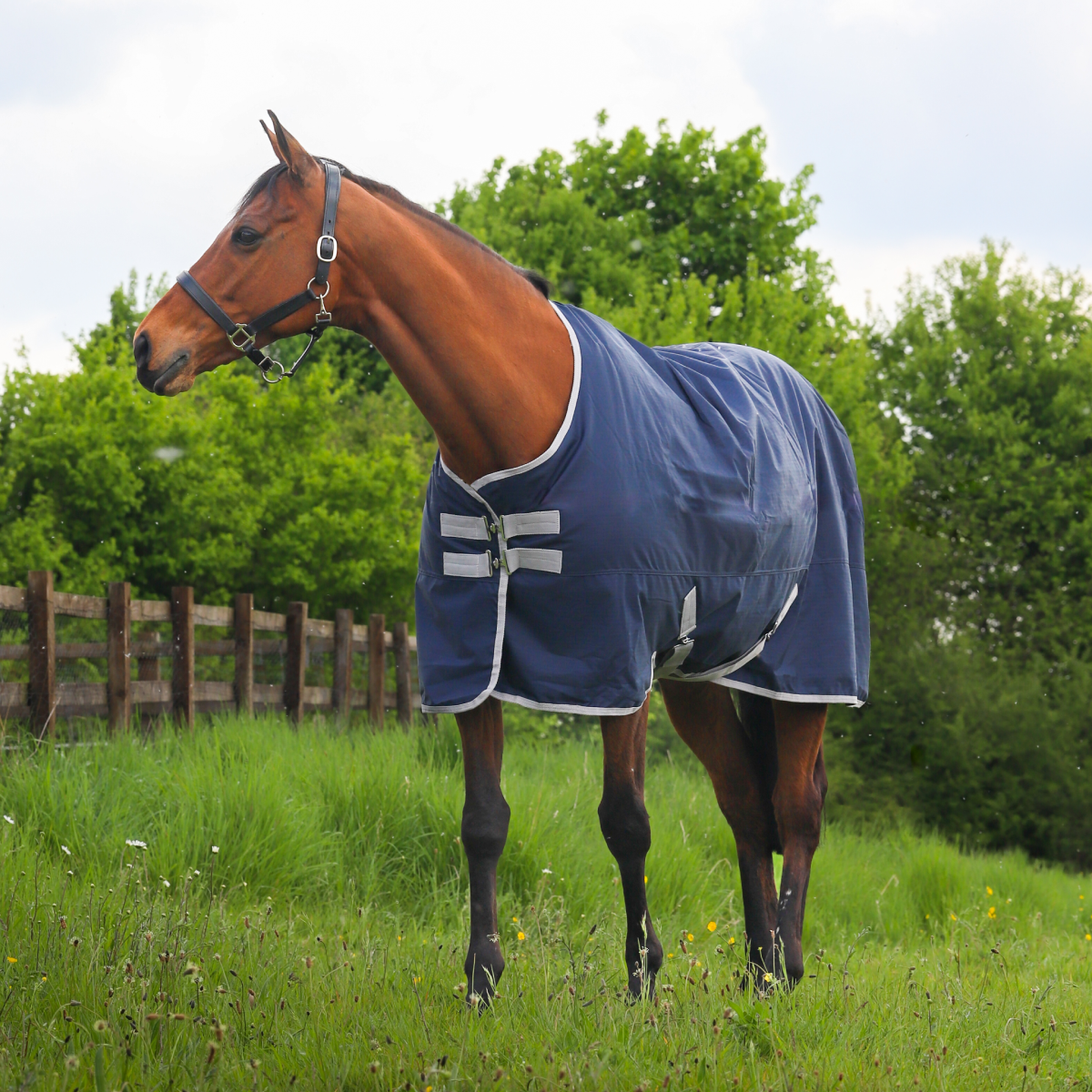 GS Equestrian 600D Waterproof Turnout Rug 0g