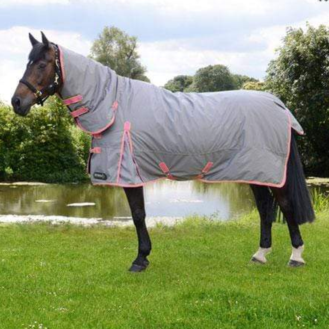 StormX Original 300g Combo Turnout Rug