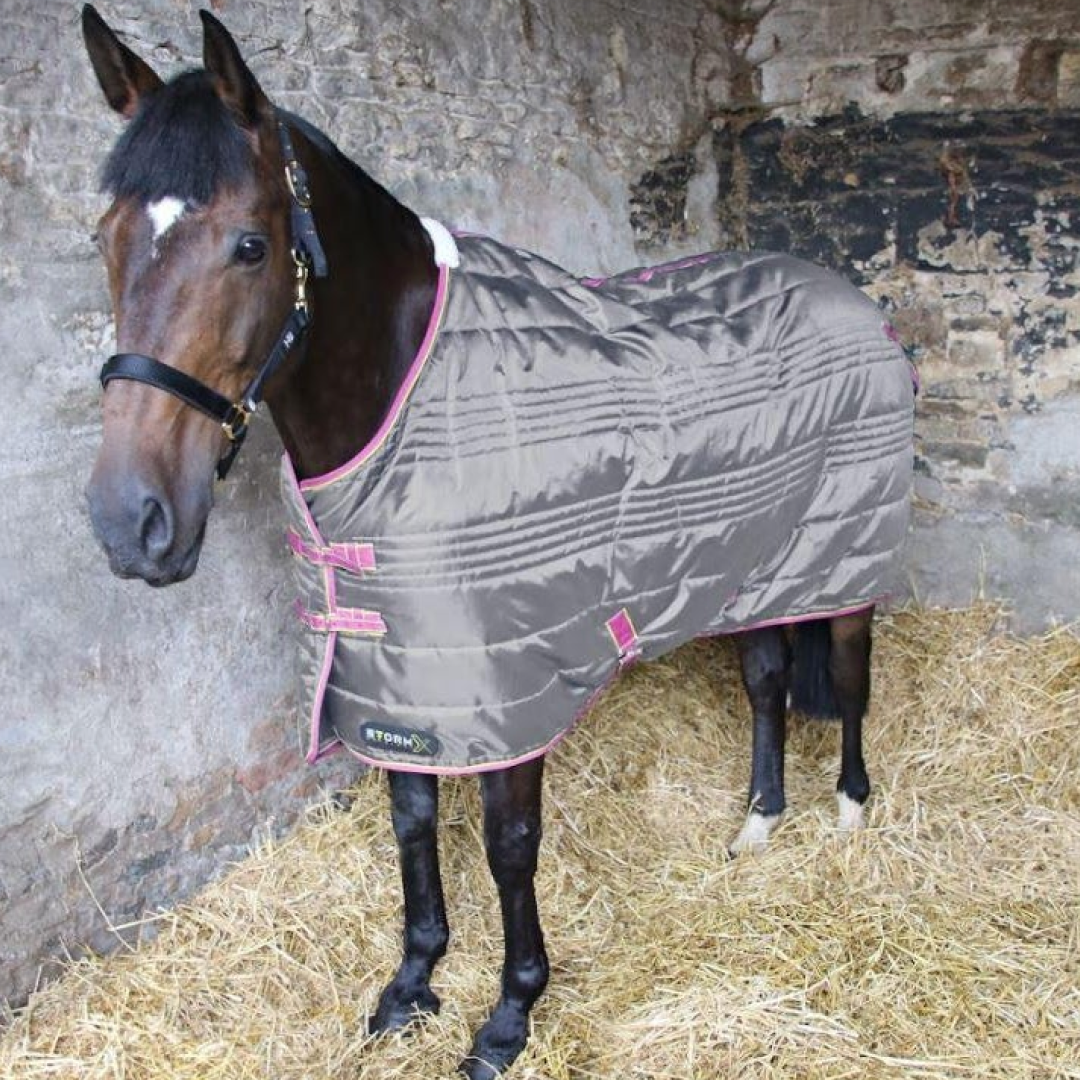 StormX Original 300g Stable Rug