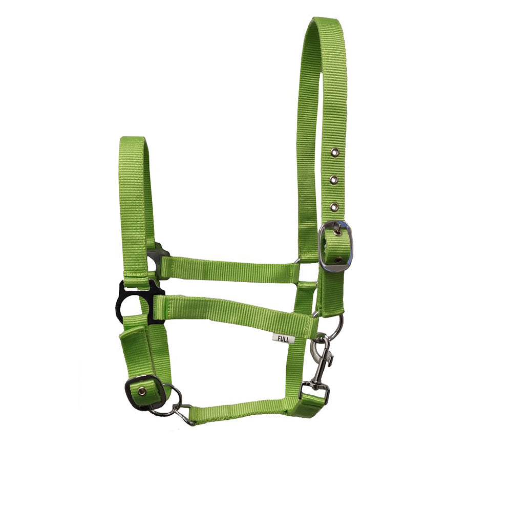 GS Equestrian Economy Head Collar