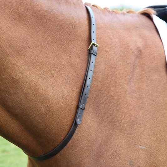 Correa de cuello de cuero Blenheim Blenheim