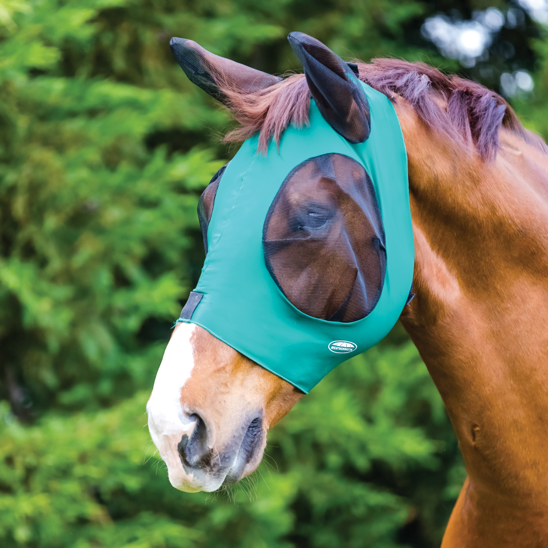 Weatherbeeta Deluxe Stretch Bug Eye Saver With Ears