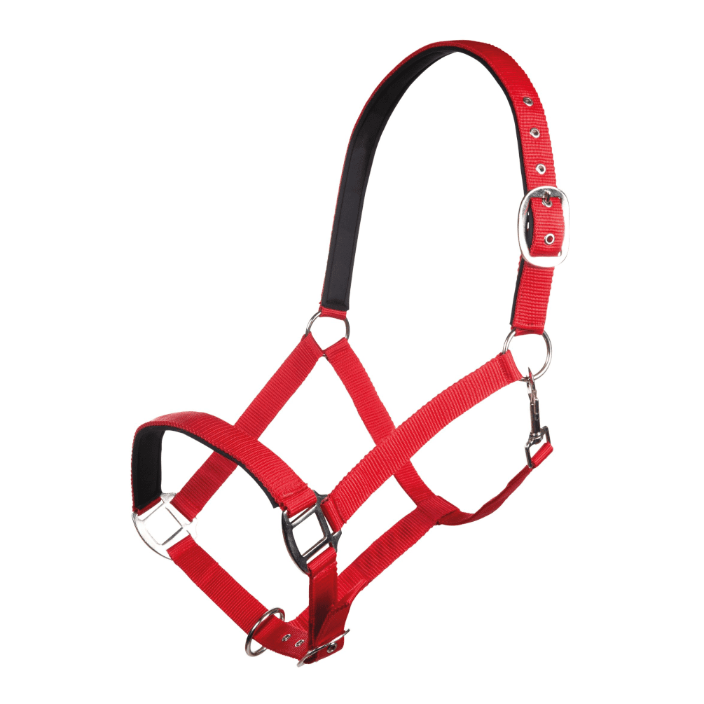 HKM Charming Head Collar