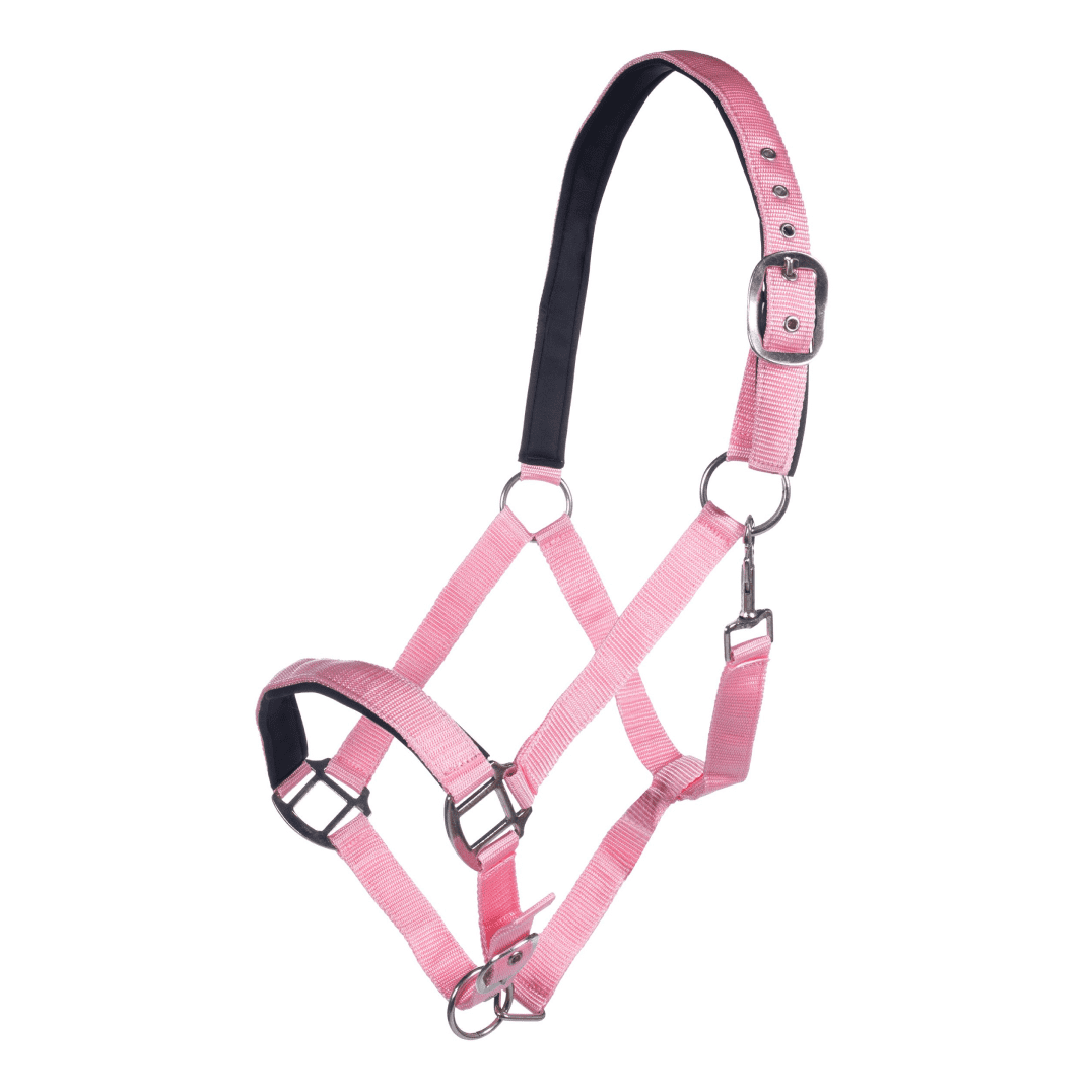 HKM Charming Head Collar