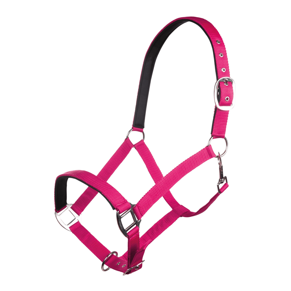 HKM Charming Head Collar